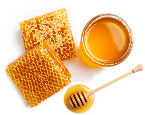 Honeycomb, jar of honey, and honey dipper